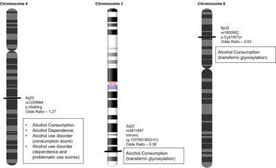 An update on the genetics of alcoholic liver disease